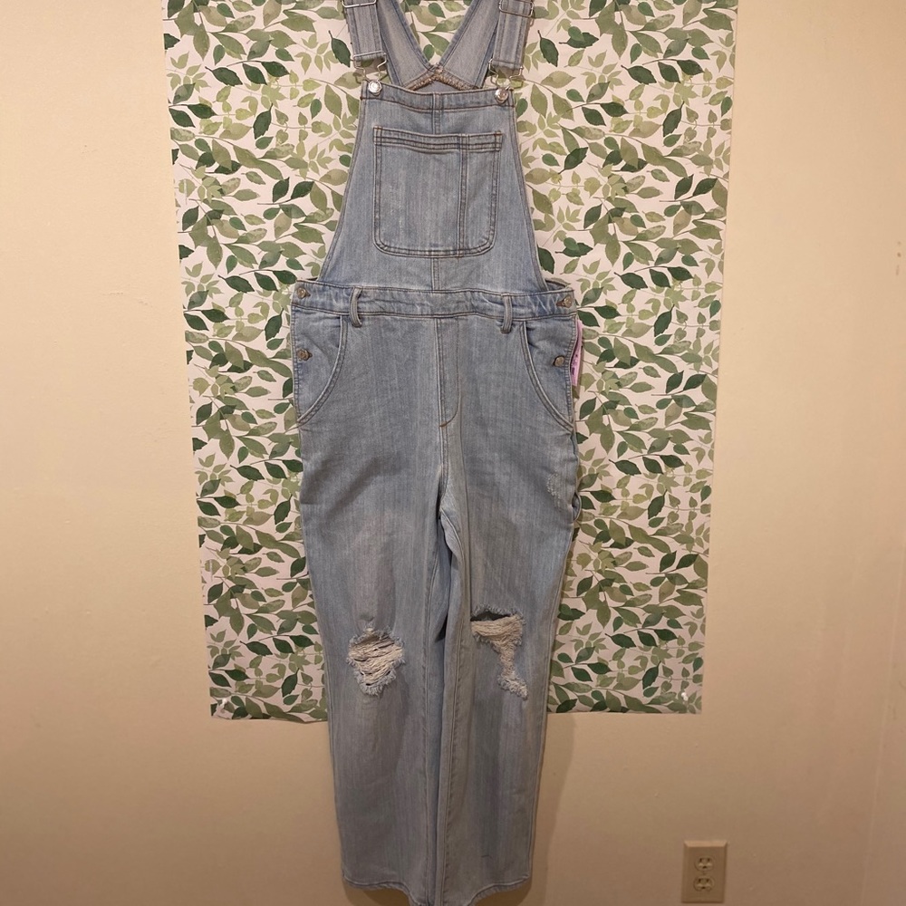 Wild fable distressed overalls